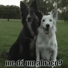Fast and easy gif creation. Fofo Abraco Gifs Tenor