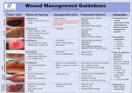 Hse National Wound Management Guidelines Pdf Free Download