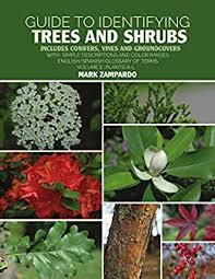 We did not find results for: Guide To Identifying Trees And Shrubs Plants A L Includes Conifers Vines And Groundcovers Kindle Edition By Zampardo Mark Crafts Hobbies Home Kindle Ebooks Amazon Com