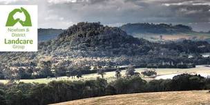 Hanging Rock / Ngannelong