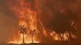 Wildfires of 2025: A Historical Perspective on Spain's Ecological and Economic Crisis