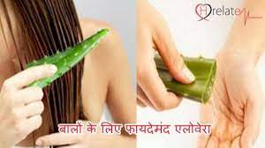 In this video you will find all benefits & us. Aloe Vera For Hair In Hindi Lambe Ghane Baalo Ke Liye