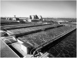 Will pest control be a messy affair? Occurrence Of Neonicotinoids In Waste Water From The Bucharest Treatment Plant Analytical Methods Rsc Publishing