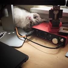 Hermitcraft Jellie Minecraft Youtubers How To Play Minecraft Cool Gifs