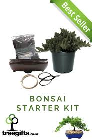 Bonsai Starter Kits Starter Kit Live Gifts Tree Gift