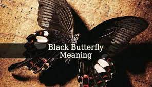 Black Butterfly Meaning Black Butterfly Tattoo Butterfly Meaning Black Butterfly