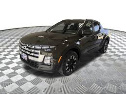 Image result for Rockwood Green 2025 Santa Cruz