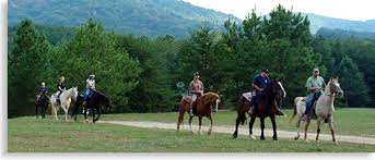 Enjoy your family or corporate outing, private ride, proposal ride or custom ride today! Horseback Riding In Blue Ridge Mccaysville Aska Adventure Area Of Fannin County Georgia Vacation Blue Ridge Georgia North Georgia Mountains