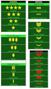Military Military History Insignia