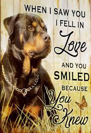 Pin By Tok Zsuzsanna On Mindenem A Rottweiler My Gosh The Rottweiler Rottweiler Love Rottweiler Quotes Rottweiler