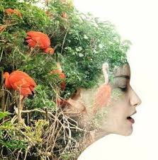 What Stoic quote to remember when life feels unbearable?