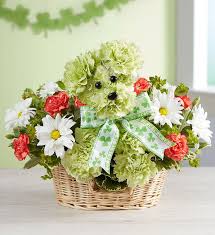 Lucky Flower Gift Plant Gifts 800 Flowers