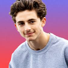 Is there a way to make my hair like timothèe's? Timothee Chalamet S Hair Has Been Through A Lot In 2018 Gq