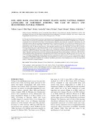 Image result for Monothecium glandulosum