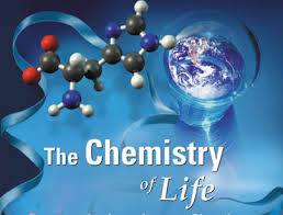 Chemistry final exam answer key quizlet. 2 11 Review Mid Unit Assessment The Chemistry Of Life Diagram Quizlet