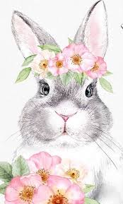 Il se cache d'un fermier et se moque de lui ! 210 Idees De Dessin Lapin En 2021 Dessin Lapin Dessin Lapin