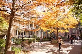Here, you can get the turkey and all the trimmings — including sweet potato puree, cornbread dressing and green beans. College Of Charleston Closed For Thanksgiving Holiday