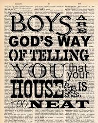 Vintage Dictionary Boys Sign Boy Quotes Boy Sign Funny Quotes
