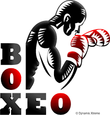 Resultado de imagen para boxeo