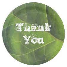 Check spelling or type a new query. Garden Party Bright Green Leaf Thank You Picnic Paper Plate Paper Plates Garden Party Bright Green
