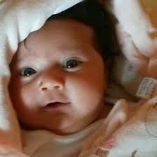 Andrew Peris (andrewperis)