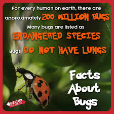 424 prescott st, greensboro, nc 27401. Facts About Bugs Pest Control Pests Treatment