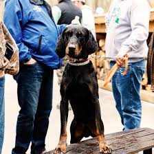 As with any project, high quality bedroom decorating requires attention to detail and careful planning. Ukc Coonhounds Kalamazoo Michigan Pet Service Business Service Facebook