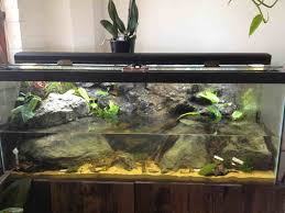 Pin On Aquarium Hillstream