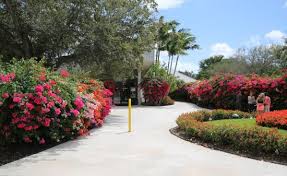 Maybe you would like to learn more about one of these? Best To Go In The Cooler Months Review Of Butterfly World Coconut Creek Fl Tripadvisor