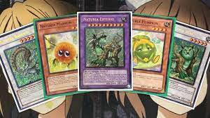 Your opponent cannot activate trap cards this turn. My Naturia Yugioh Deck Profile For January 2021 Youtube