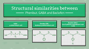 Image result for Phenibut