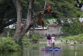 Jadwal buka tutup puncak saat weekend. 7tqyvmr2qvzs7m