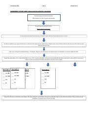 Biol 1000 Lab 4 Flow Chart Docx Angela Mangila Lab 4