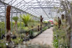 An exclusive event from garden design: Create Your Dream Garden With Virtual Garden Design From Architectural Plants