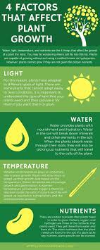 When Planting A Flower Bed Or A Vegetable Garden It Is Important To Understand What Plants Need To Grow Th Gardening For Beginners Gardening Tips Plant Growth