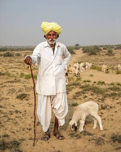 The Rajput shepherds of the Thar Desert in Rajasthan represent a unique and resilient community deeply intertwined with the arid landscape that characterizes this region. The Thar Desert, also known as the
