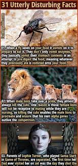 31 Utterly Disturbing Facts You Ll Wish You Didn T Know Fact Republic In 2020 Facts Weird Facts What The Fact