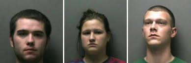 Three arrested in pot bust