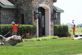 Hire the best lawn care services in fort worth, tx on homeadvisor. Alabama S Top Rated Local Lawn Care Companies Award Winner Mow Hawk Lawn Care