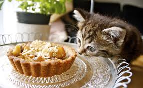 In A Sea Of Honey And Apple Tartlets With A Olive Oil And Buckwheat Crust Recipe On Food52 Recipe Cat Eating Cake Apple Tartlets Tartlets