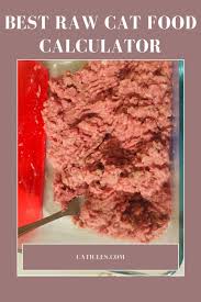 Curated ingredients consist of only. Raw Cat Food Calculator How Much To Feed And Cost Of Raw