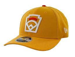 Image result for Brown 2025 Fleet