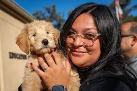 🚨 *Last chance alert!* 🚨 **Microchip Month is nearly over**, and so is  this *paw-some* offer! 🐾 ✨ *One FREE microchip* when microchipping a  litter — don't miss out! I'll come to