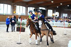 Check spelling or type a new query. 10 Jahre Fohlen Hengste Und Oster Spass Bei Sosath Reitsport Events