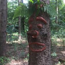 In Der Schonen Luneburgerheide Begegnen Euch Jetzt Lustige Gestalten Unsere Kinderbetreuuerin Shann Hat Mit Unseren Lieben Familien Die Baume In 2020 Plants Tree