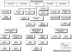 Who Does Your Chief Compliance Officer Report To The Fcpa