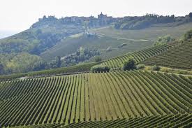 Comacchio fin dall'antichità questo territorio è stato oggetto di contesa, sia per la sua posizione strategica sia per la sua leggendaria fertilità. Somm S Table Italian Wine 101 Cheat Sheet Italianfwt