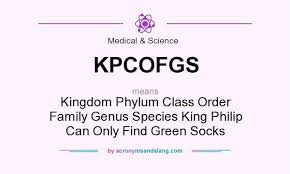 Kpcofgs Kingdom Phylum Class Order Family Genus Species King Philip Can Only Find Green Socks By Acronymsandslang Com