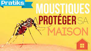 Les moustiques sont vraiment gênants surtout si on les laisse proliférer. Comment Proteger Sa Maison Des Moustiques Naturellement Youtube