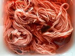 How to dye yarn with avocado. Natural Dyeing With Avocado Dyes Zuahaza Colombian Home Textiles